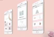 珠寶電商APP開發(fā)探索